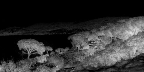 Mar de noche